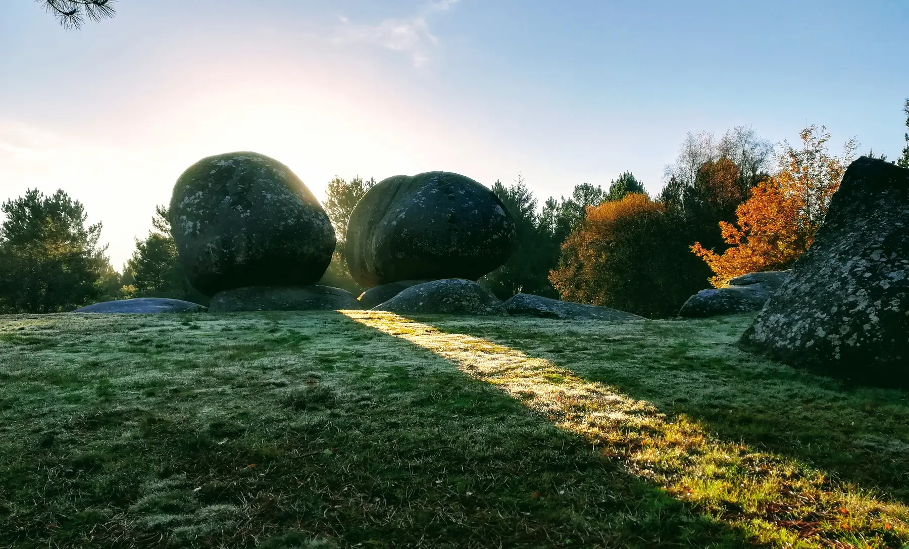 Vida e actividade en Bosque Sagrado de Lugo