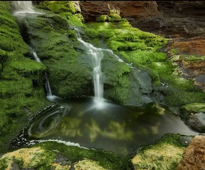 Vida e actividade en Camping Natural Terapéutico