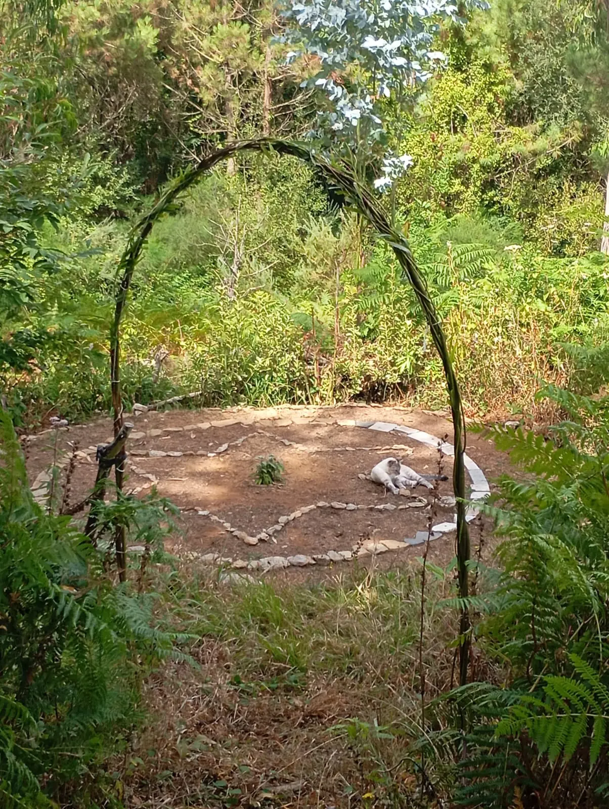 Espazo de Camping Natural Terapéutico