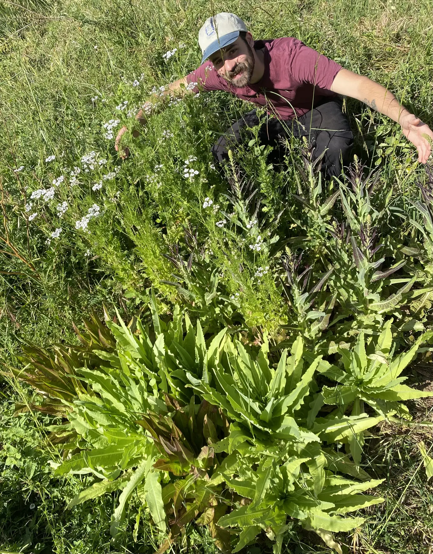 Espazo de Foradesí · Cultivo e Cociña