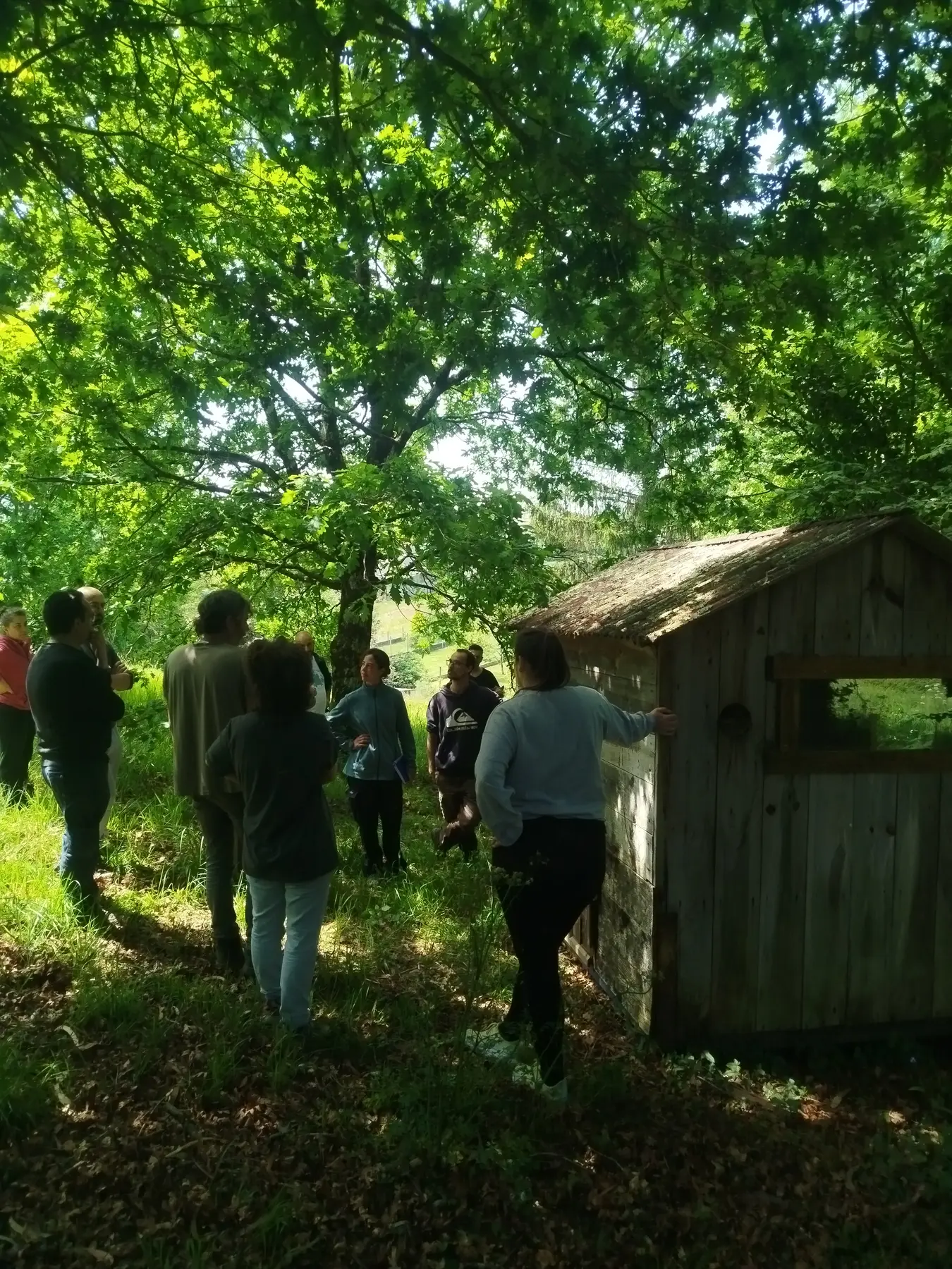 Espazo de Kibutz Sociedade Cooperativa Galega
