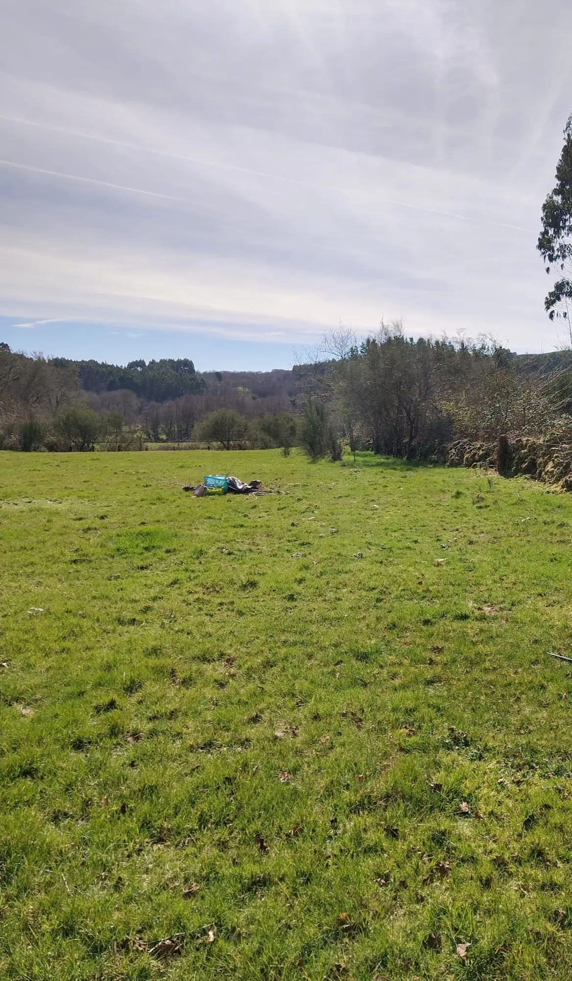 Vida e actividade en Equipo Reverdecer · Camiña Alma Libre