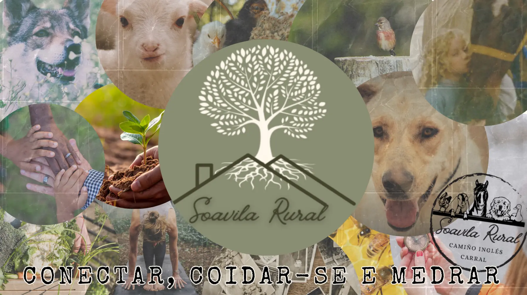 Vida e actividade en Soavila Rural