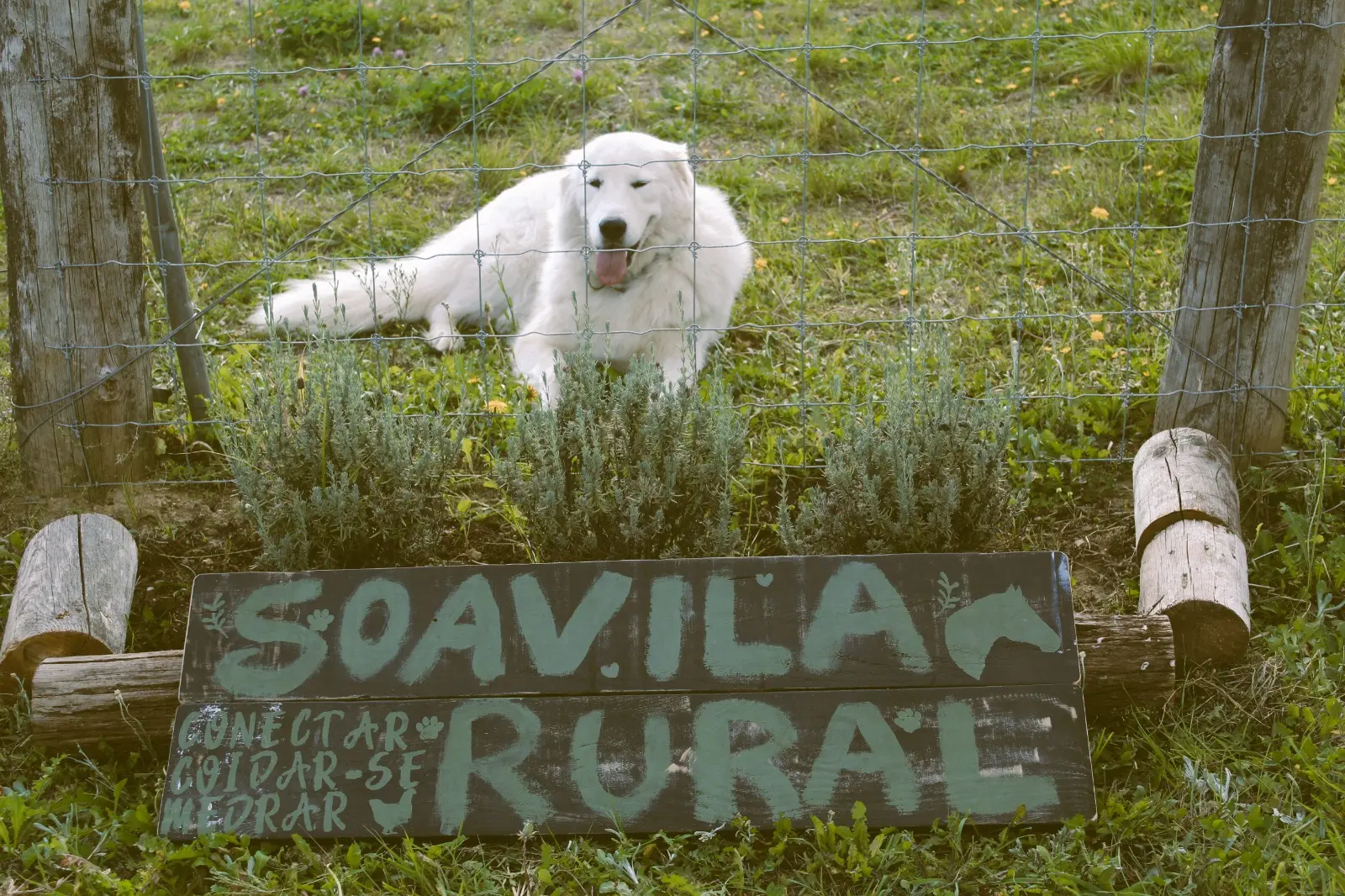 Espazo de Soavila Rural