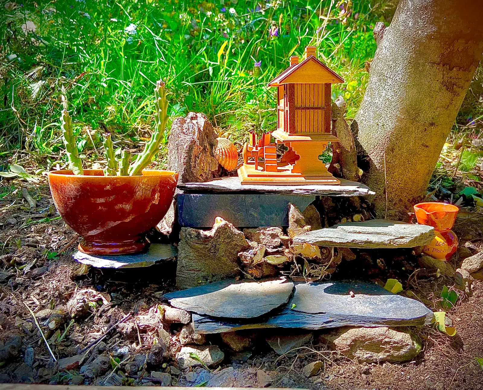 Vida e actividade en Terranova